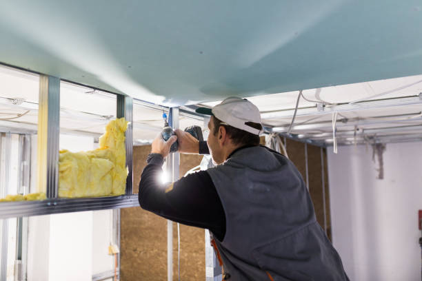 Best Insulation Installation Services in Black River, NY