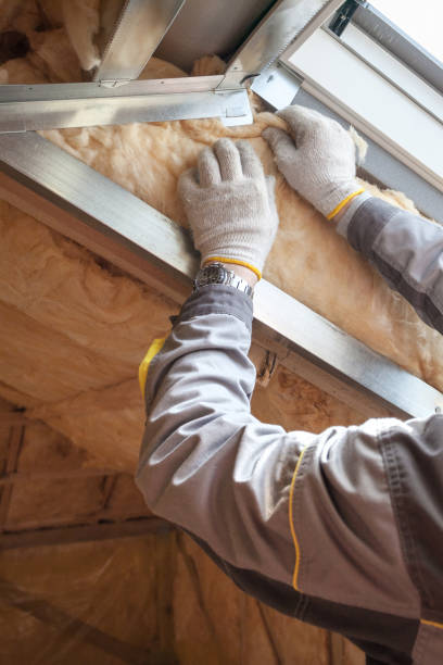 Best Commercial Insulation in Black River, NY